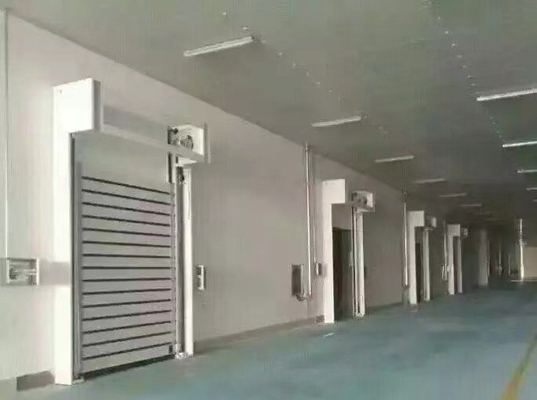 سريع التدحرج و شاشة الدوامة حلزونية باب المرآب الأمن مع 40mm سمك